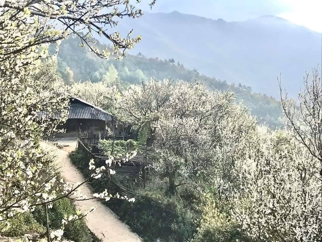 4-Day Cycling Tour: Hanoi to Ngoc Chien & Nam Nghiep